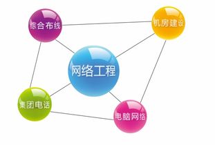 網絡工程與網站建設 數字化轉型的核心支柱
